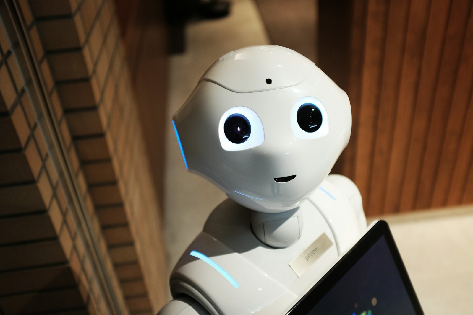 elon musk robots