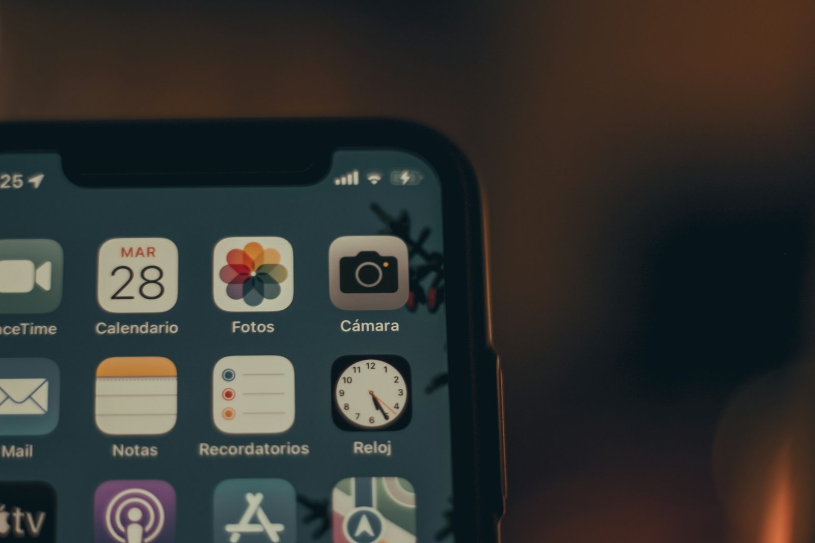 how to fix bug in your phone