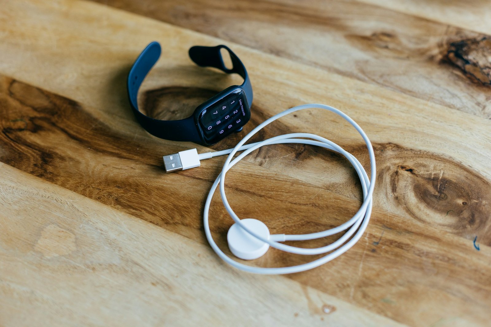 apple watch charger